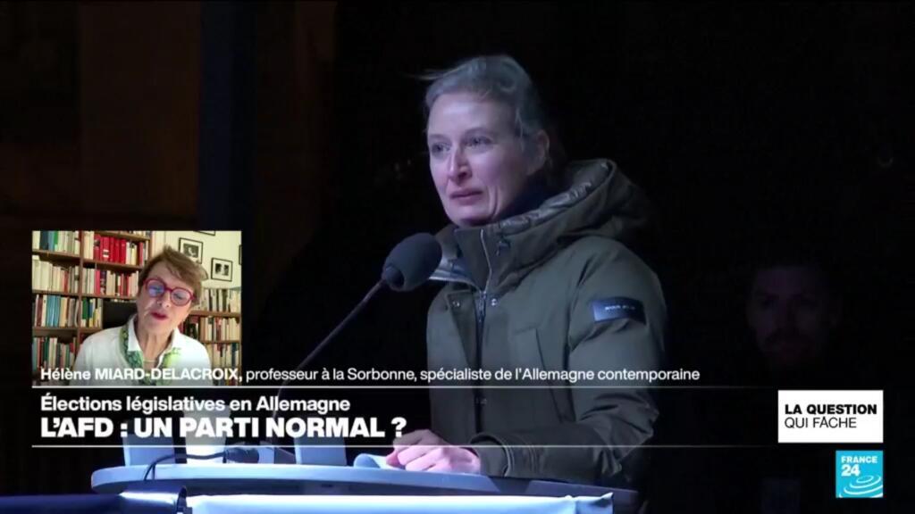 L'AFD : un parti normal ?